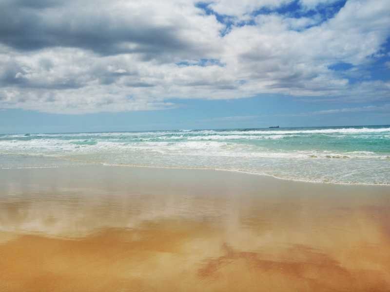 8 Wimbrel Court, Wurtulla QLD 4575