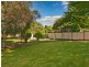 164 Hillcrest Avenue, Mount Lewis NSW 2190