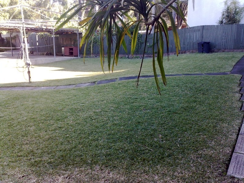 80 Nicholson Street, Strathfield NSW 2135