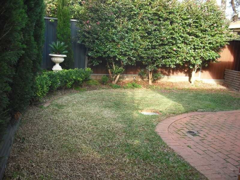 5 Comet Street, Ashfield NSW 2131