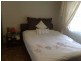 Ashfield NSW 2131