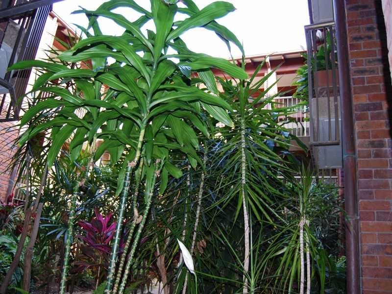 125/32 Bauer Street, Southport QLD 4215