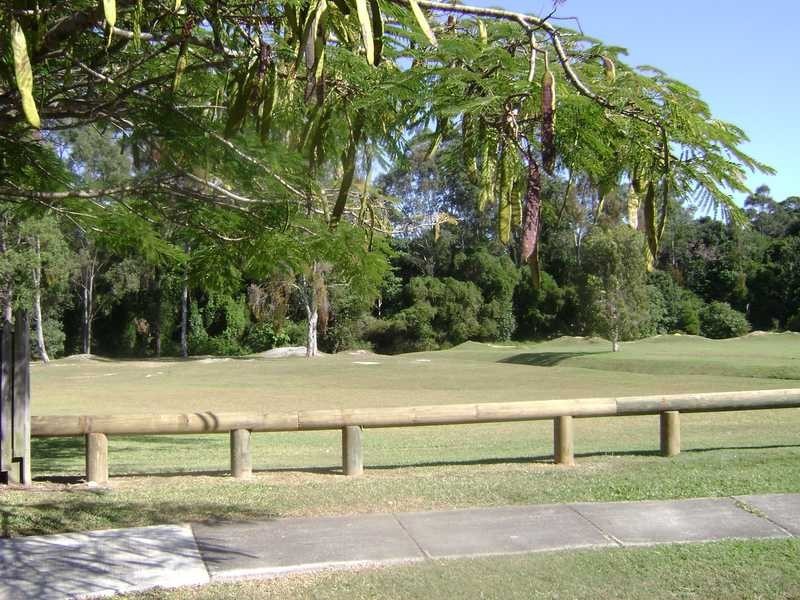 35 Bushmead Street, Nerang QLD 4211