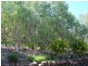 41 Lucille Ball Place, Parkwood QLD 4214