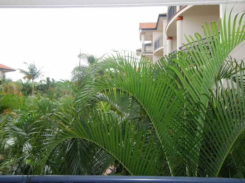 Unit 47/148 Marine  Parade, Southport QLD 4215