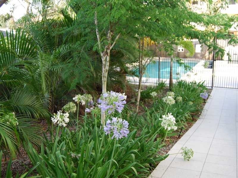 12 / 15-17 Lloyd Street, Southport QLD 4215