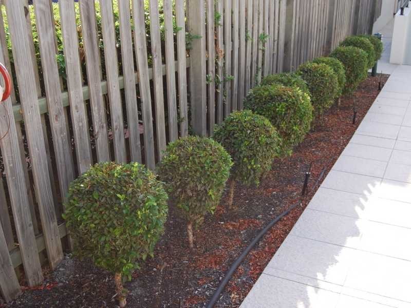 12 / 15-17 Lloyd Street, Southport QLD 4215