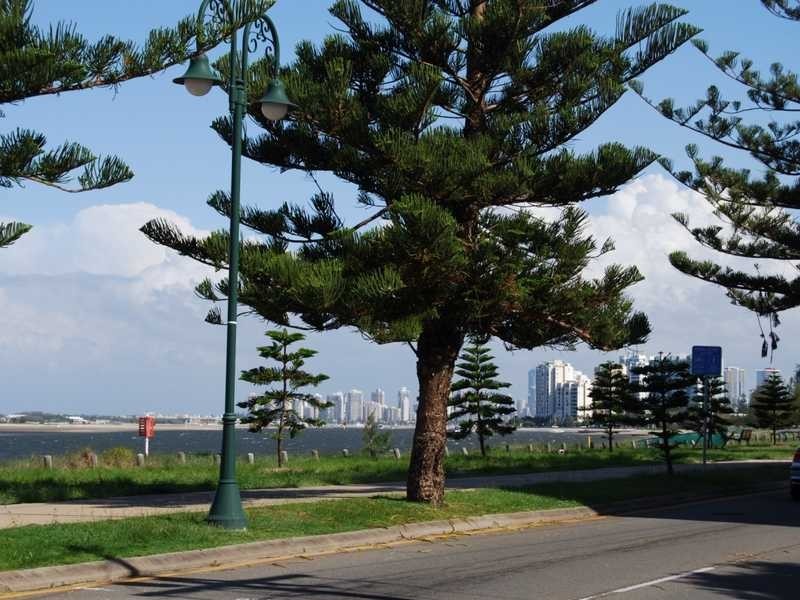 3 / 37 Back Street, Biggera Waters QLD 4216