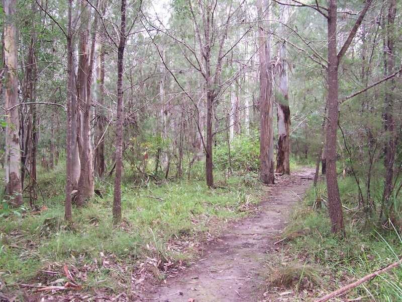 Lot 36/27 Brushbox Crescent, Kempsey NSW 2440