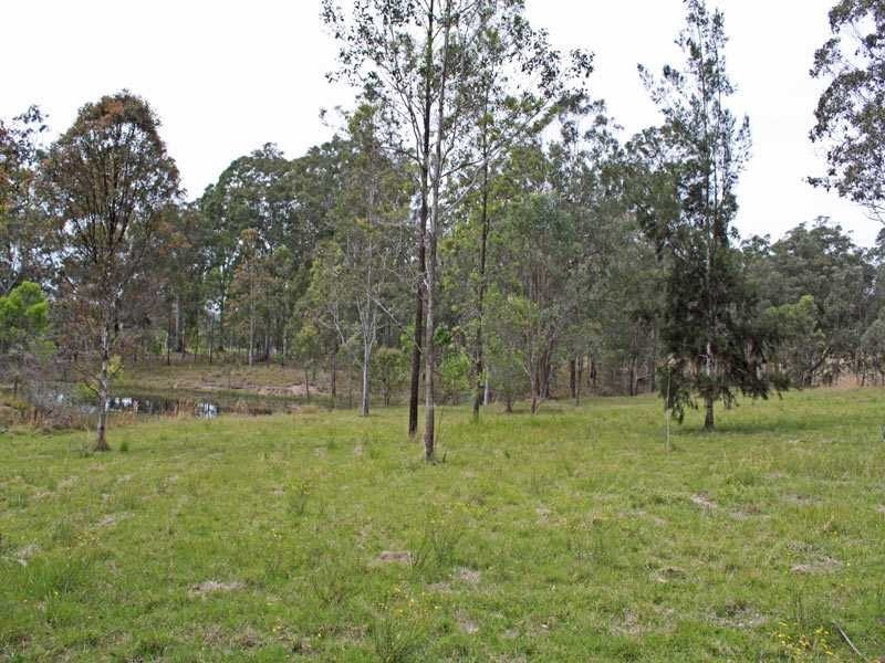 342 Mungay Creek Road, Willawarrin NSW 2440