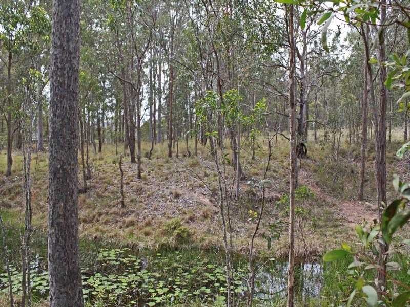 342 Mungay Creek Road, Willawarrin NSW 2440