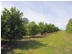 Lots 228 229 214 215 Yarrabandini Road, Frederickton NSW 2440