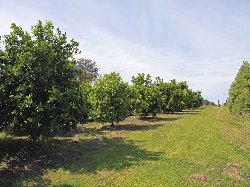 Lots 228 229 214 215 Yarrabandini Road, Frederickton NSW 2440