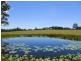 95 Owens Access, Collombatti NSW 2440