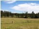 95 Owens Access, Collombatti NSW 2440