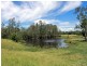95 Owens Access, Collombatti NSW 2440