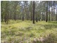 Lot 21 Bushland Drive, Yarravel NSW 2440