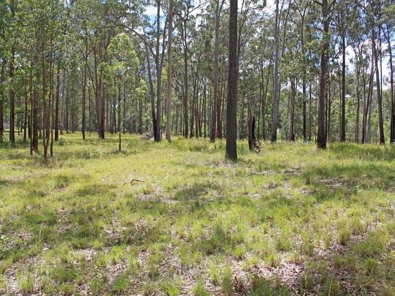 Lot 21 Bushland Drive, Yarravel NSW 2440