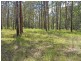 Lot 21 Bushland Drive, Yarravel NSW 2440