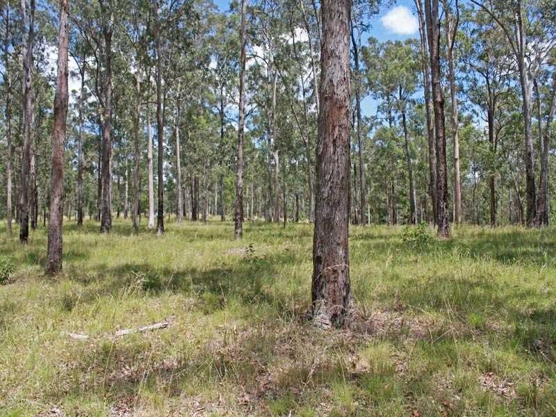 Lot 21 Bushland Drive, Yarravel NSW 2440