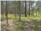 Lot 21 Bushland Drive, Yarravel NSW 2440