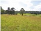Lot 1151 Collombatti Road, Collombatti NSW 2440