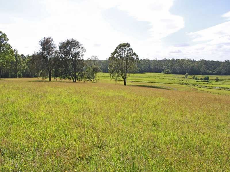 Lot 1151 Collombatti Road, Collombatti NSW 2440