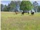 Lot 1151 Collombatti Road, Collombatti NSW 2440