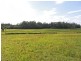 Lot 1151 Collombatti Road, Collombatti NSW 2440