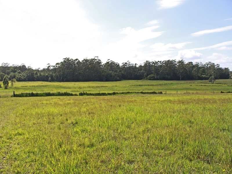 Lot 1151 Collombatti Road, Collombatti NSW 2440