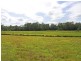 Lot 1151 Collombatti Road, Collombatti NSW 2440