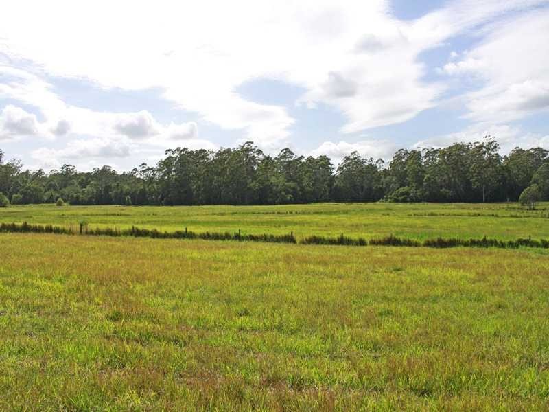 Lot 1151 Collombatti Road, Collombatti NSW 2440