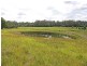Lot 1151 Collombatti Road, Collombatti NSW 2440