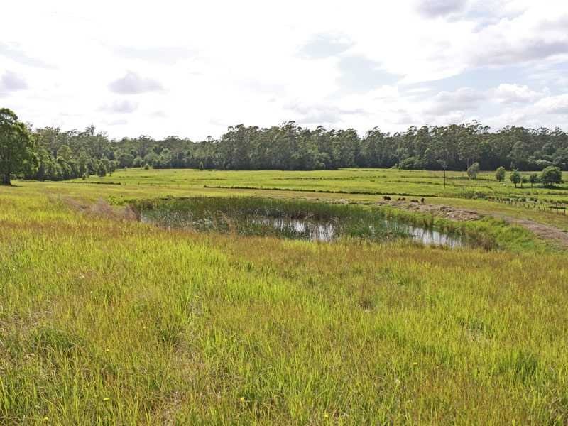 Lot 1151 Collombatti Road, Collombatti NSW 2440