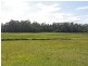Lot 1151 Collombatti Road, Collombatti NSW 2440