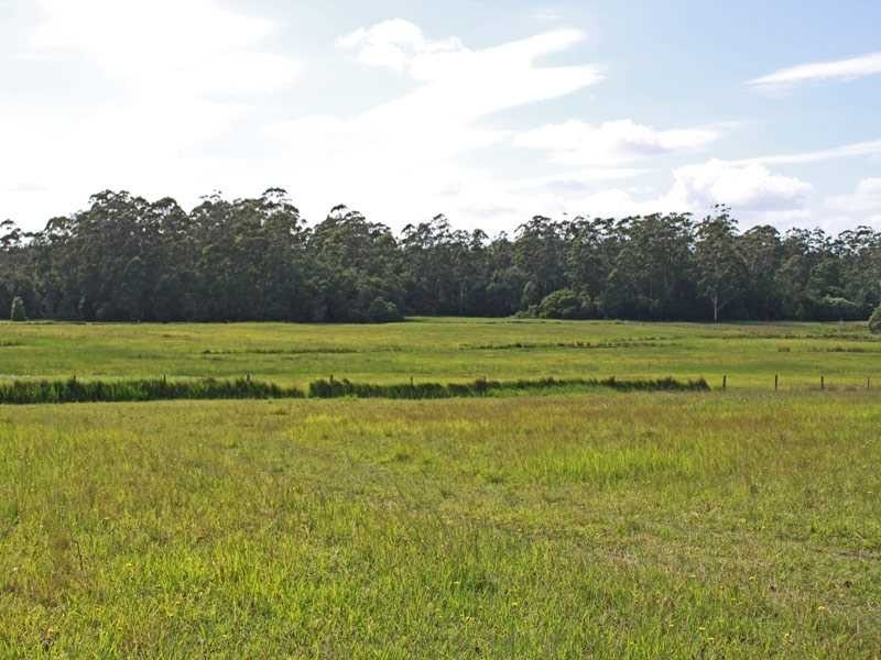 Lot 1151 Collombatti Road, Collombatti NSW 2440