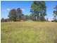 Lot 1151 Collombatti Road, Collombatti NSW 2440