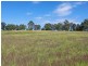 Lot 1151 Collombatti Road, Collombatti NSW 2440