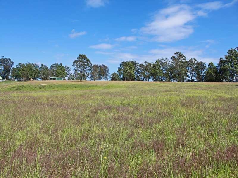 Lot 1151 Collombatti Road, Collombatti NSW 2440