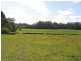 Lot 1151 Collombatti Road, Collombatti NSW 2440