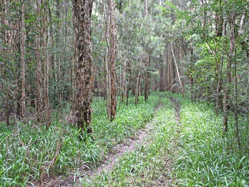 Lot 40 Cnr Bruces & Shady Lane, South Kempsey NSW 2440