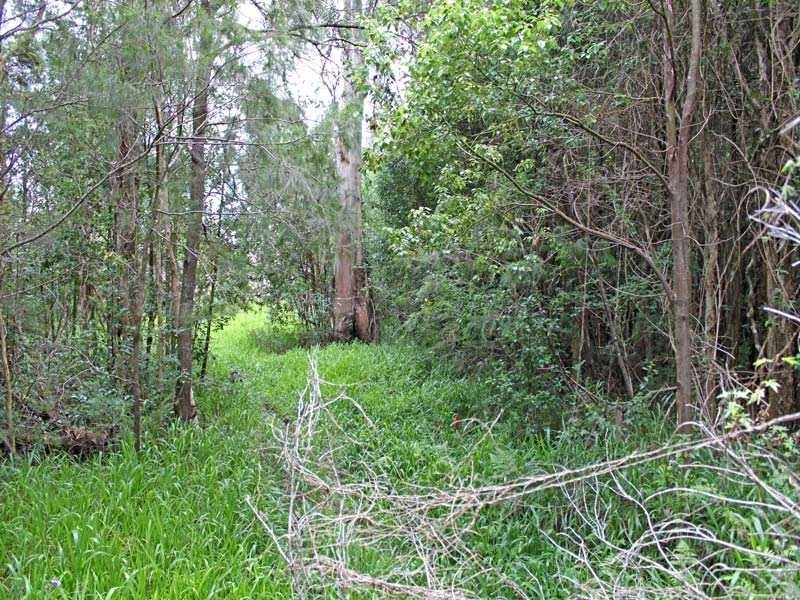 Lot 40 Cnr Bruces & Shady Lane, South Kempsey NSW 2440