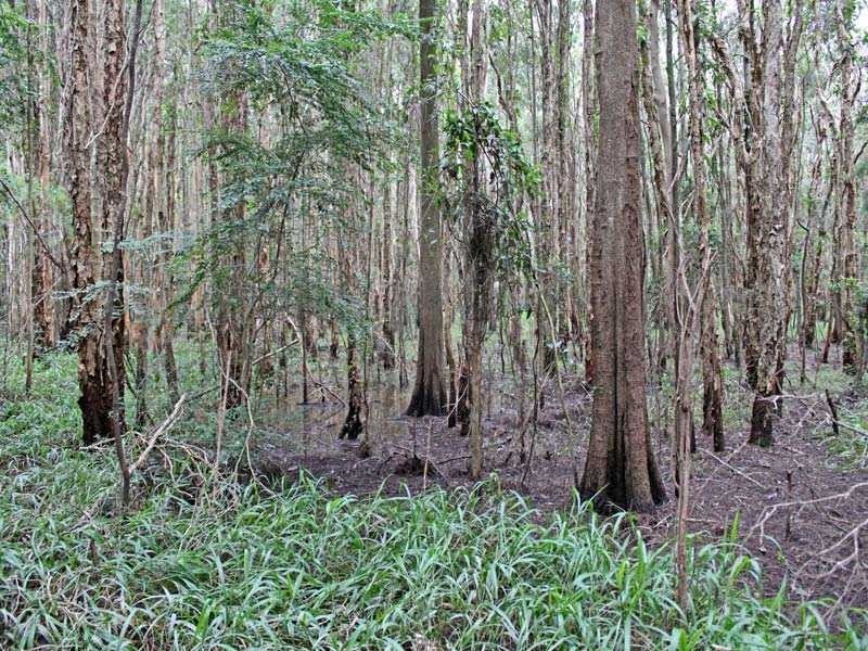 Lot 40 Cnr Bruces & Shady Lane, South Kempsey NSW 2440