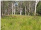 Lot 1 DP 196559 Beranghi Road, Crescent Head NSW 2440