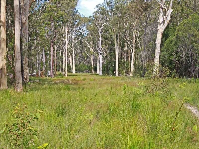 Lot 1 DP 196559 Beranghi Road, Crescent Head NSW 2440