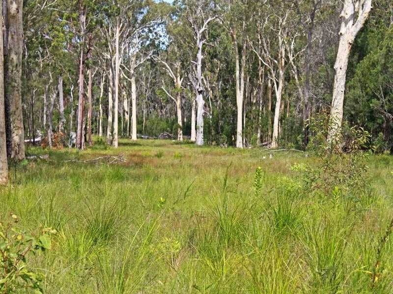 Lot 1 DP 196559 Beranghi Road, Crescent Head NSW 2440