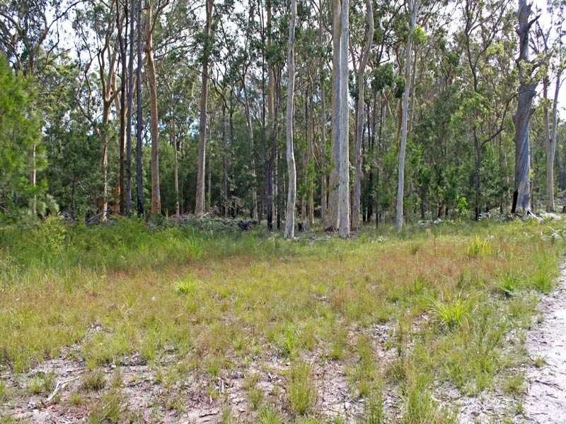 Lot 1 DP 196559 Beranghi Road, Crescent Head NSW 2440