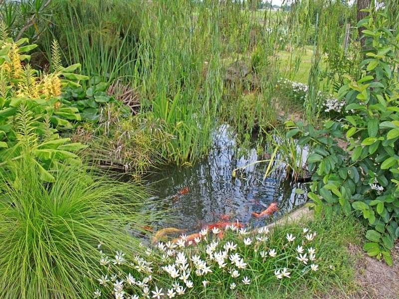 2 Cooks Lane, West Kempsey NSW 2440