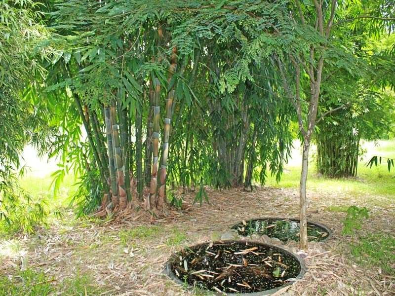 Lot 1 Wide Street, West Kempsey NSW 2440