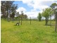 1353 Gowings Hill Road, Sherwood NSW 2440